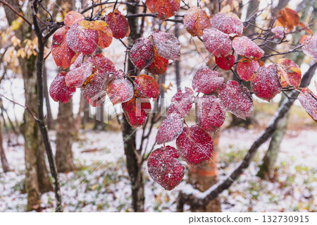 251103 Norikura Youth House z025 251103 Norikura Youth House z025 132730915