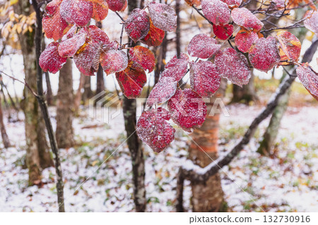 251103 Norikura Youth House z026 132730916