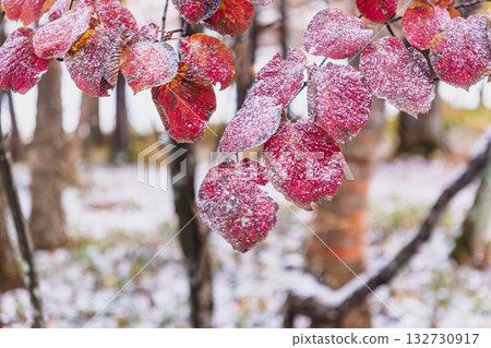 251103 乘倉青年之家 z027 132730917