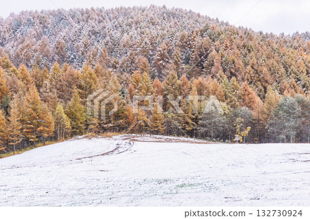 251103 乘倉青年之家 z037 132730924