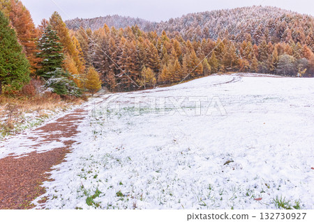 251103乘鞍青年之家z040 132730927