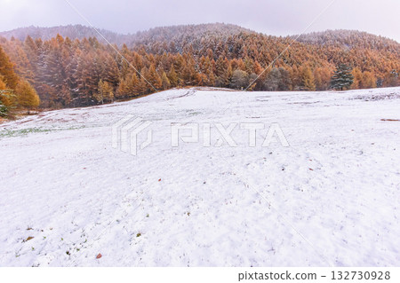 251103乘鞍青年之家z042 251103乘鞍青年之家z042 132730928