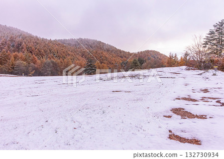 251103 Norikura Youth House z051 132730934