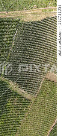 Trois-Puits, Reims, Marne, Grand-Est, France, August, 28th, 2025, Champagne Area, Stunning Aerial 132731352