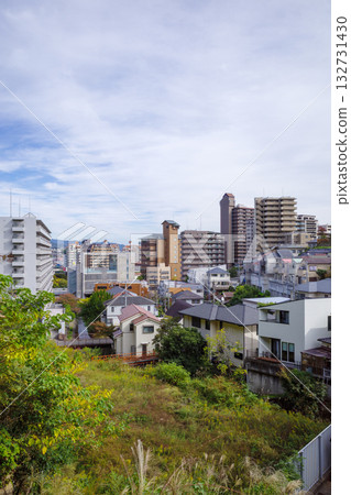 寶塚遠景 132731430