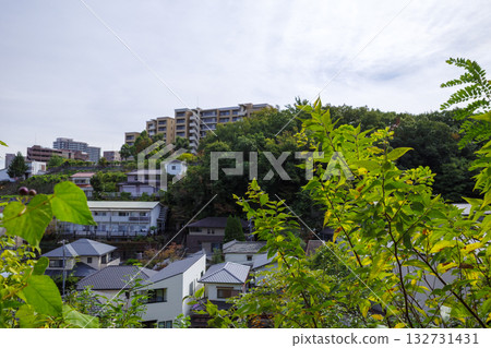 寶塚遠景 132731431