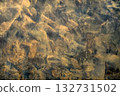 Abstract Brown and Black concrete Textured Background                                132731502