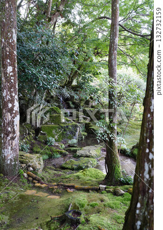 原竹林院的庭園景色 132732159