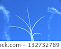 Blue Impulse  132732789