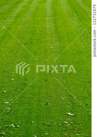 草坪 草坪 132732879