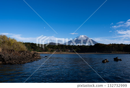 A spectacular view of Mount Fuji and Lake Motosu from the shores of Lake Motosu. A beautiful Japanese autumn landscape, with clear blue skies and autumn leaves. 132732999