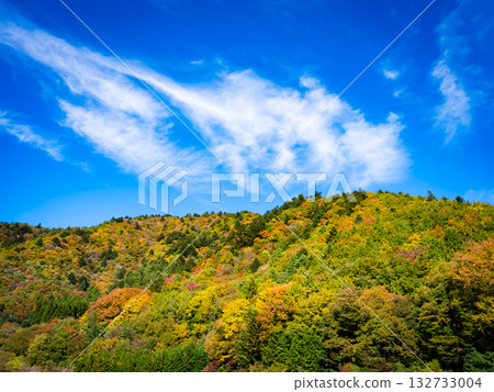 Clear blue autumn skies and vibrant autumn foliage in the mountains - a beautiful autumn landscape woven by nature 132733004