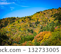 A beautiful autumn landscape in Japan, with clear blue skies and beautiful autumn leaves decorating the mountains 132733005
