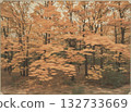 Landscape with autumn ivy leaves 132733669
