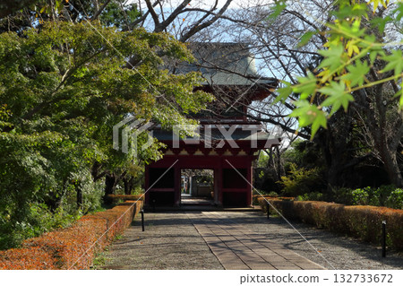 浪漫的茨城（此門原為板湖市龍王山福門院正門，由德川光國下令移至板湖市長勝寺。） 132733672