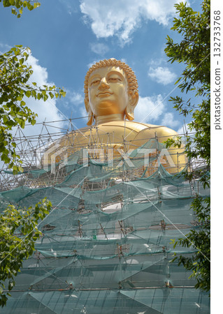 巨大的佛像 132733768