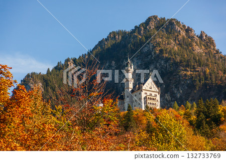 秋日晨光中的新天鵝堡壯麗景觀 132733769