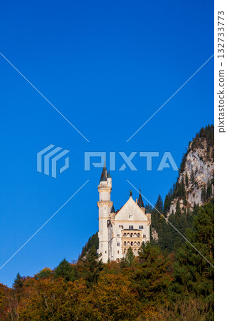The magnificent view of Neuschwanstein Castle in the autumn morning light The magnificent view of Neuschwanstein Castle in the autumn morning light 132733773
