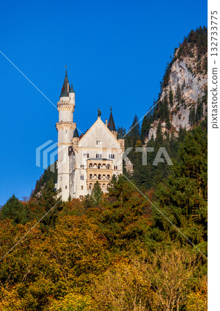 秋日晨光中的新天鵝堡壯麗景觀 秋日晨光中的新天鵝堡壯麗景觀 132733775