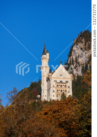The magnificent view of Neuschwanstein Castle in the autumn morning light 132733779
