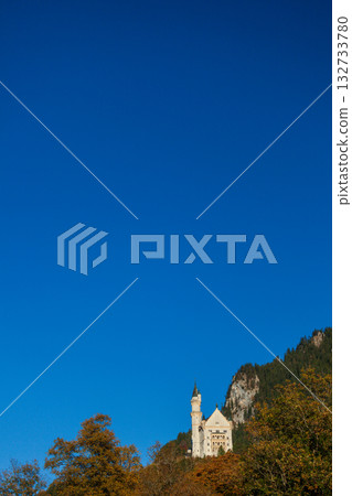 The magnificent view of Neuschwanstein Castle in the autumn morning light 132733780