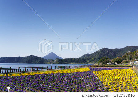 Spring in Kagoshima Prefecture: Lake Ikeda and Mt. Kaimon Spring in Kagoshima Prefecture: Lake Ikeda and Mt. Kaimon 132733810