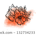 A floral bouquet with large flowers and leaves outlined in black on an orange watercolor background. Botanical linear illustration. Spring nature concept. Vector illustration isolated on a white 132734233