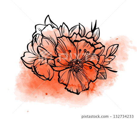 A floral bouquet with large flowers and leaves outlined in black on an orange watercolor background. Botanical linear illustration. Spring nature concept. Vector illustration isolated on a white A floral bouquet with large flowers and leaves outlined in black on an orange watercolor background. Botanical linear illustration. Spring nature concept. Vector illustration isolated on a white 132734233
