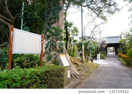 Hojoji Temple Enokishita Castle Ruins Hojoji Temple Enokishita Castle Ruins 132734302