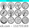 Twelve Monochrome Tree Trunk CrossSection Silhouettes Arranged on a White Background for Graphics Twelve Monochrome Tree Trunk CrossSection Silhouettes Arranged on a White Background for Graphics 132735169