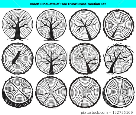 Twelve Monochrome Tree Trunk CrossSection Silhouettes Arranged on a White Background for Graphics 132735169