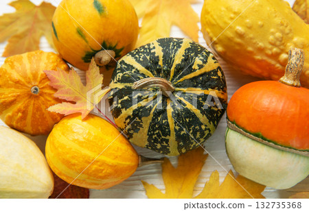 Assorted pumpkins and gourds decorating for fall harvest 132735368