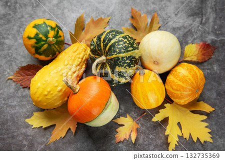 Autumn gourds and squash with colorful fall leaves Autumn gourds and squash with colorful fall leaves 132735369