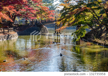 Okazaki Higashi Park dyed in autumn leaves 132735958