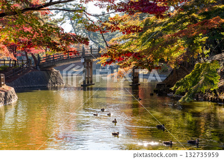Okazaki Higashi Park dyed in autumn leaves 132735959