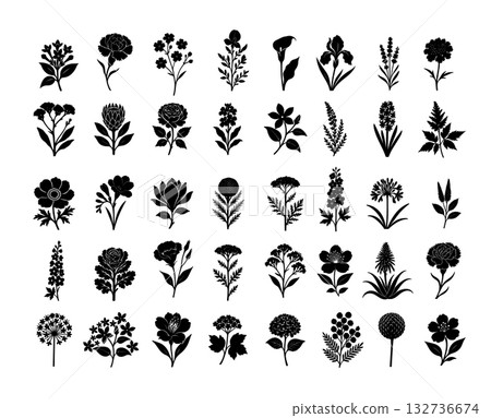 Set of different black monochrome flower silhouettes . Hand drawn. Not AI, vector illustration. Set of different black monochrome flower silhouettes . Hand drawn. Not AI, vector illustration. 132736674