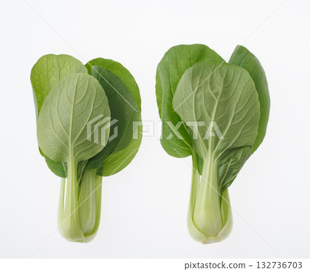 bok choy white background 132736703