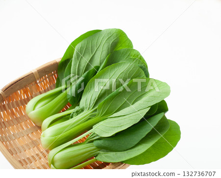 白菜白色背景 132736707