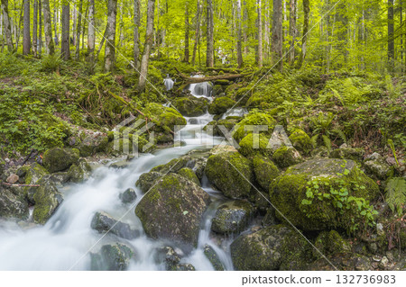 Rothbach Waterfall near Konigssee lake in Berchtesgaden National Park, Germany 132736983