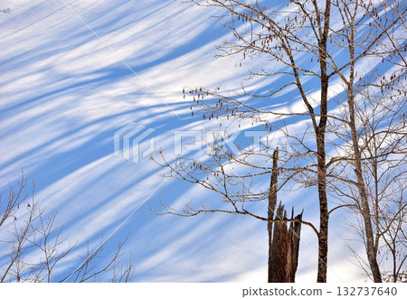 雪影藝術 132737640
