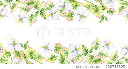 Watercolor clipart seamless horizontal border of botanical leaves and flowers, hand drawn. Useful for decorative stationery, website banners, invitations, cards, and digital layouts 132737805