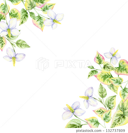 Cluster of watercolor clipart flowers with green and pink heart-shaped leaves forming a floral frame, hand drawn. Ideal for invitations, cards, labels, wall art, and packaging accents 132737809