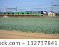 Fukaya leek and the Takasaki Line 132737841
