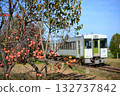 Hachiko Line and persimmon trees 132737842
