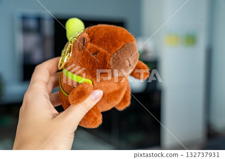 Plush capybara toy held in the hand of a teenager. Capturing a viral Gen Z trend and emotional connection with cute collectible animals. Plush capybara toy held in the hand of a teenager. Capturing a viral Gen Z trend and emotional connection with cute collectible animals. 132737931