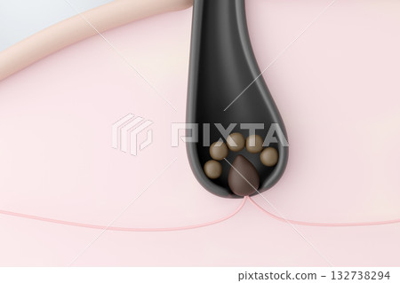 CG illustration of a cross section of a healthy hair follicle showing the hair papilla and hair matrix cells CG illustration of a cross section of a healthy hair follicle showing the hair papilla and hair matrix cells 132738294