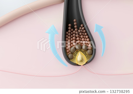 CG illustration showing the process of hair matrix cells dividing and hair growing CG illustration showing the process of hair matrix cells dividing and hair growing 132738295