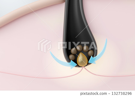 CG of targeted treatment in which hair growth agents directly stimulate the hair papilla to promote hair growth 132738296