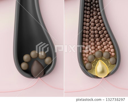 Comparison of hair growth effects due to activation of hair papilla and hair matrix cells. Before and after CG 132738297