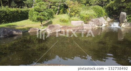 A green-striped turtle in the pond at Inage Seaside Park 132738492